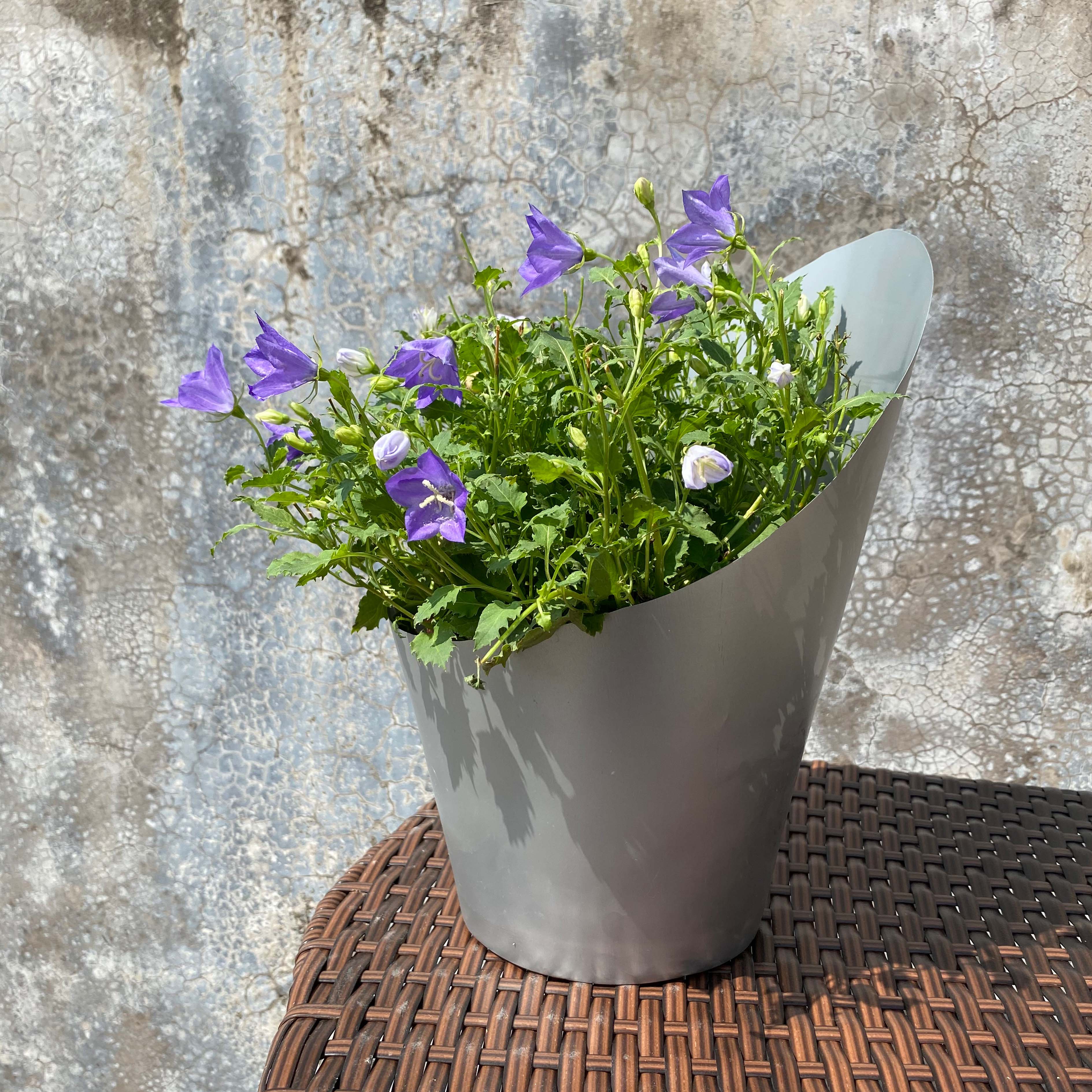 Slant sorbet plastic cover pot