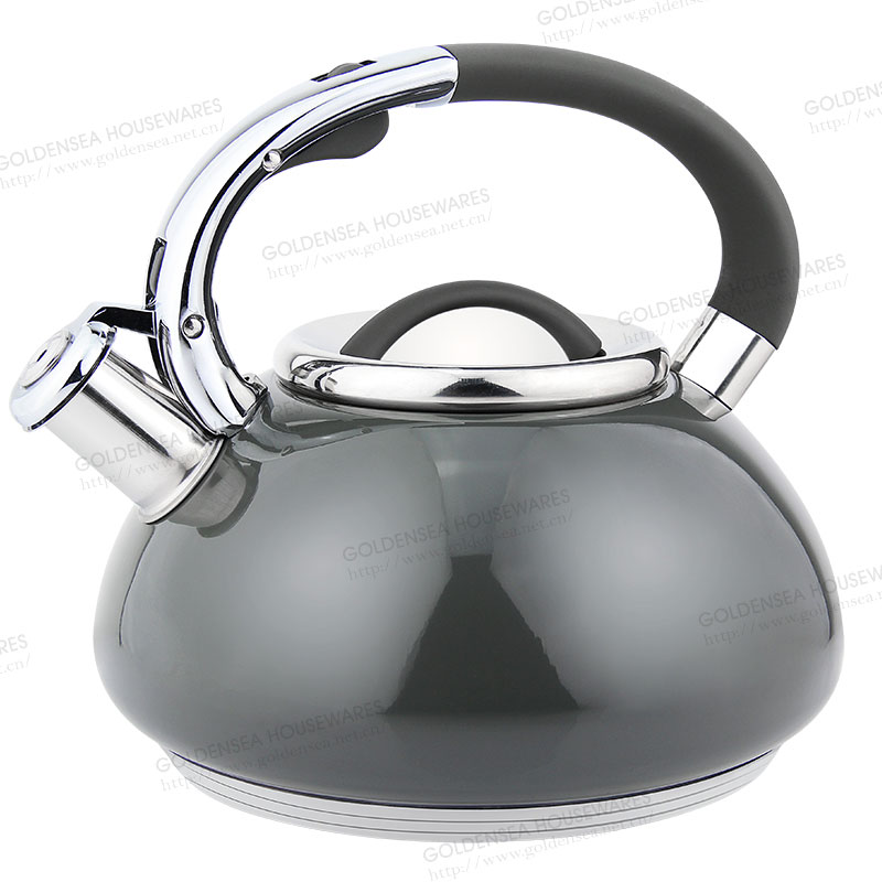 Stainless Steel Whistling Kettle