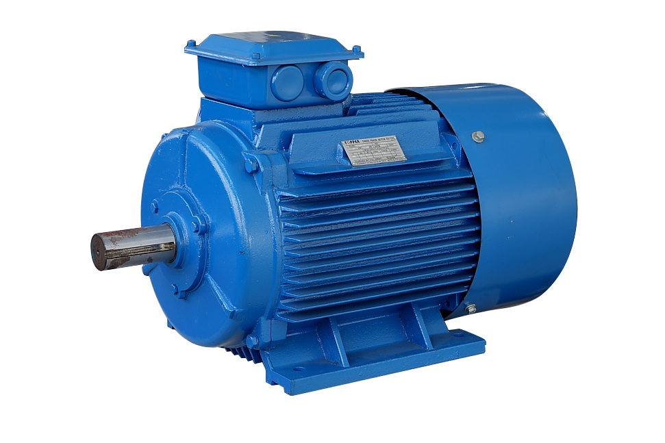 Three Phase Induction Motor