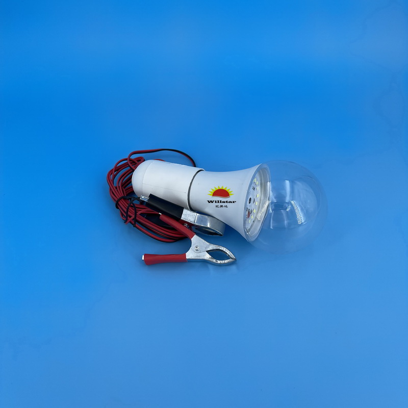 C12V A70 LED Bulb