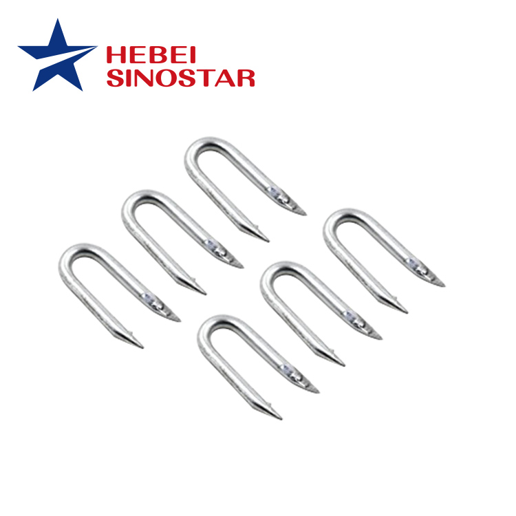 Galvanized U Staple Nails