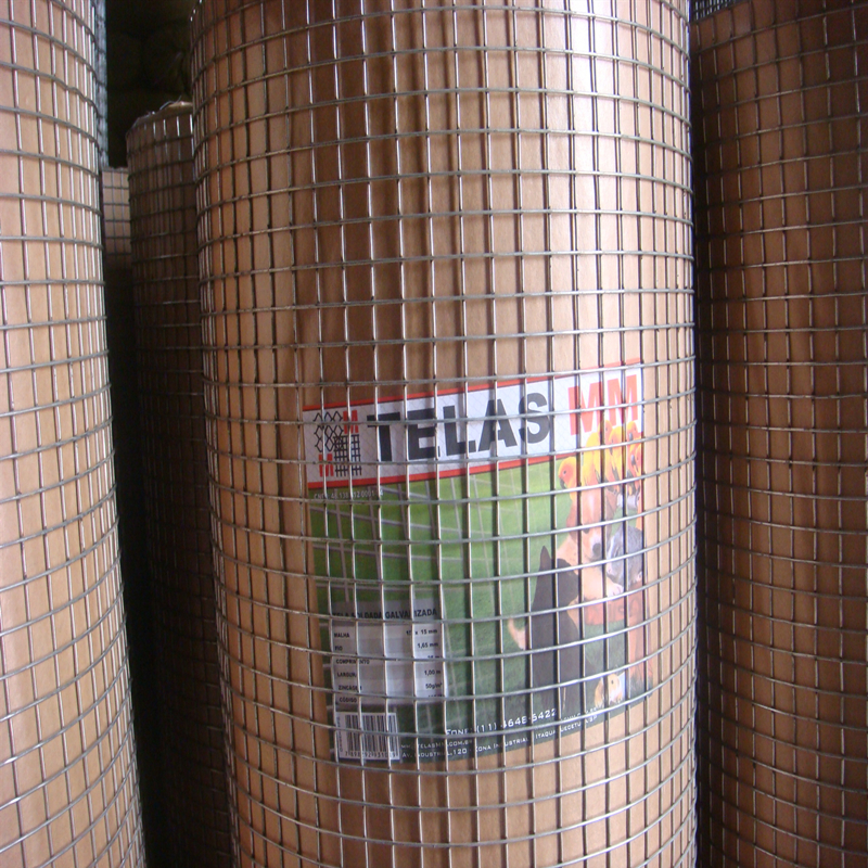 Galvanized Welded Wire Mesh