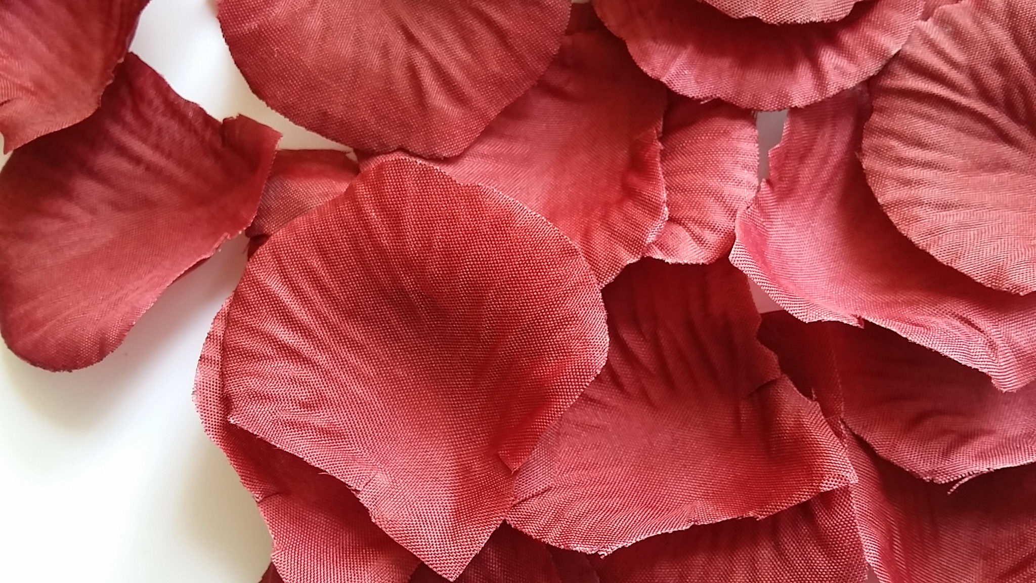 love petals