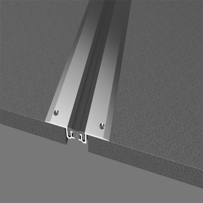 Movement joint with removable inserts