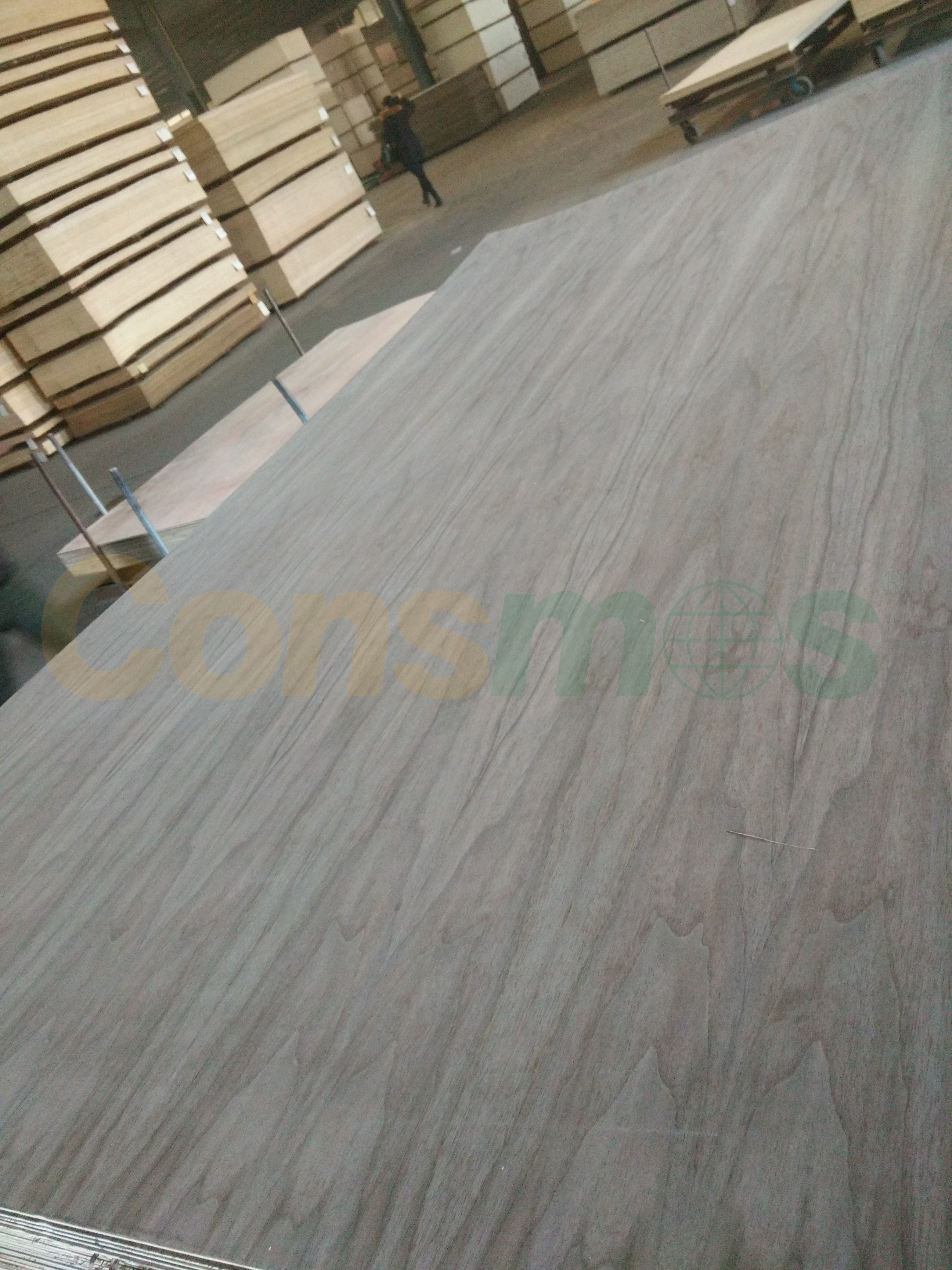 Black walnut plywood