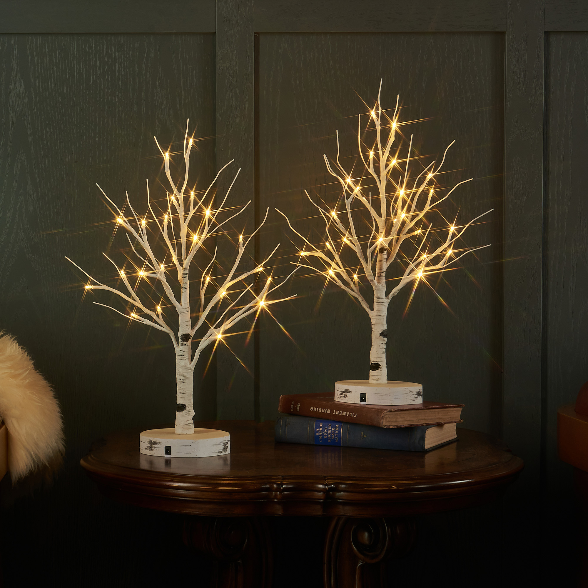 Pre-lit Tabletop White Birch Tree with Battery Operated or USB Plug 18IN 24 LED Lighted Small Twig Bonsai Tree with Lights for Christmas Table Decor