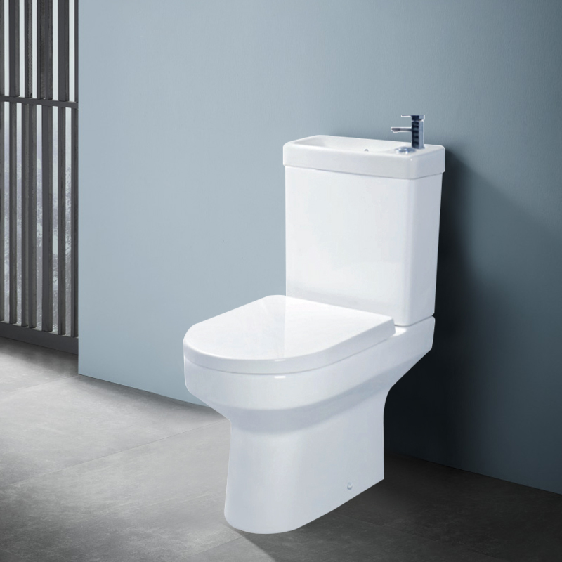 Toilet with basin