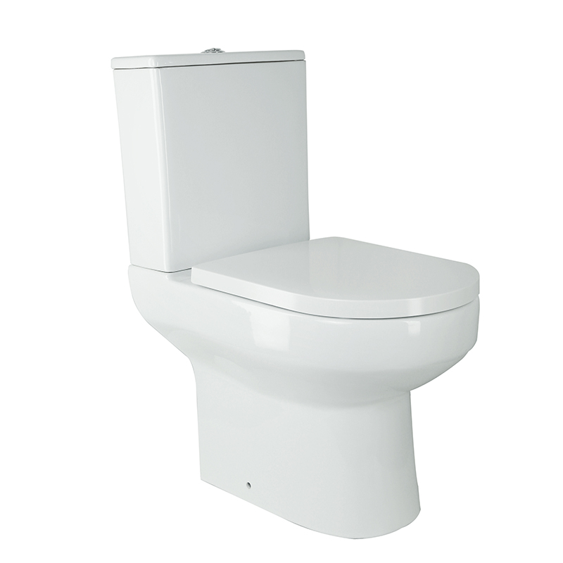 Washdown Two Pcs Toilet Rimless