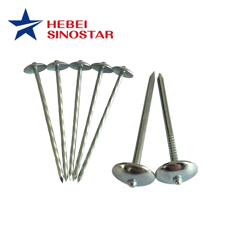 Umbrella Roofing Nails