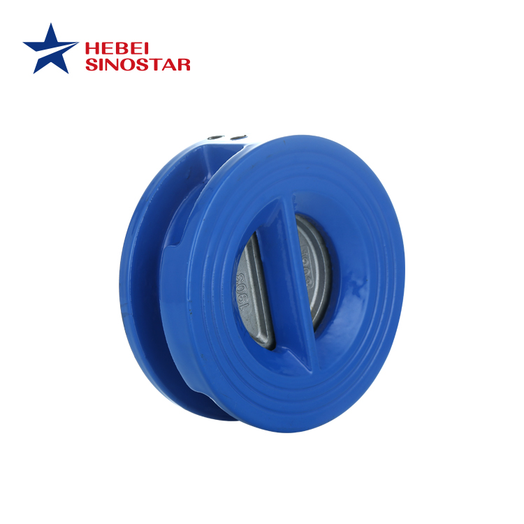 Ductile Iron Swing Check Valve