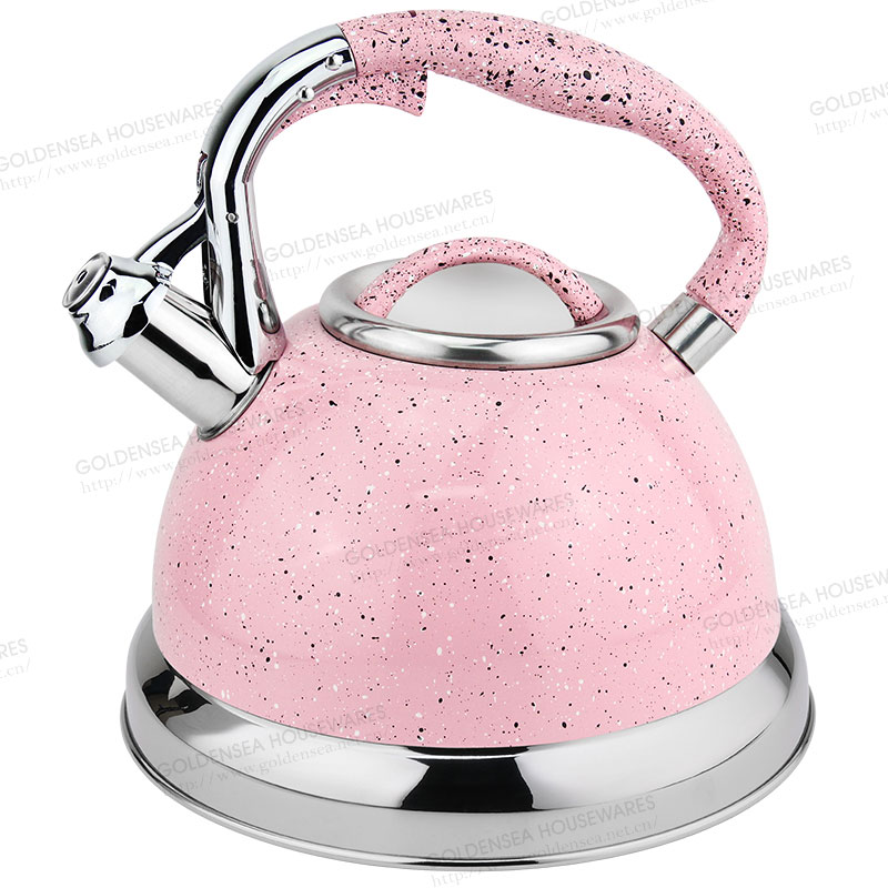 Stainless Steel Whistling Kettle