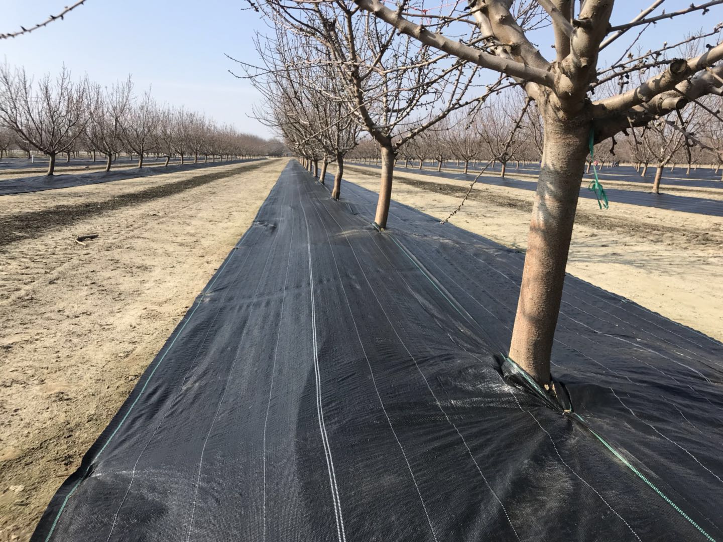 Garden ground cover fabric / weed barrier mat