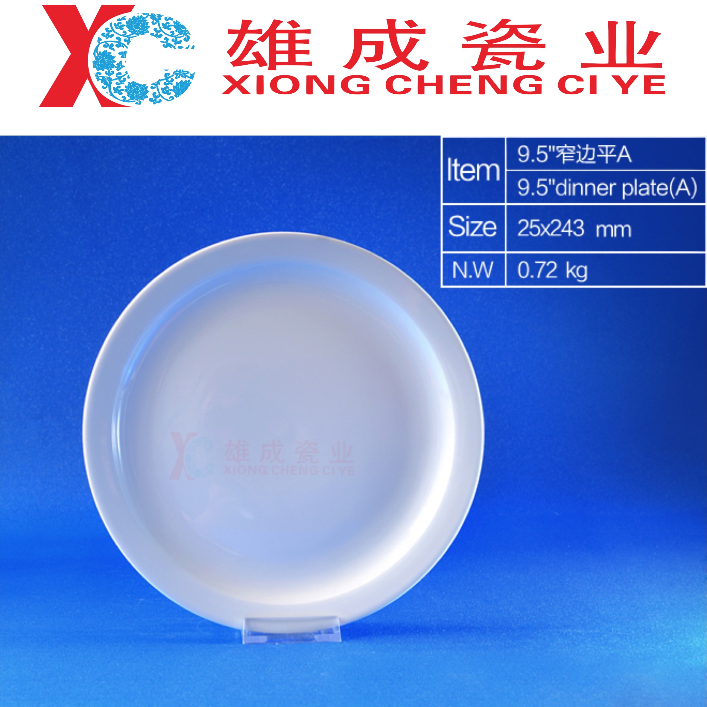9.5‘’ dinner plate A