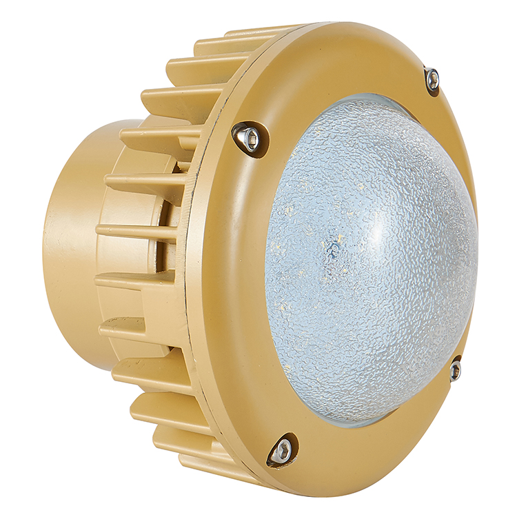 防爆认证 30W LED 防爆矿灯 AC85-265V 火焰安全灯