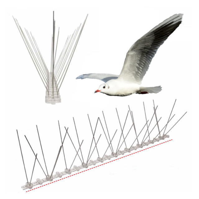 Bird Spikes