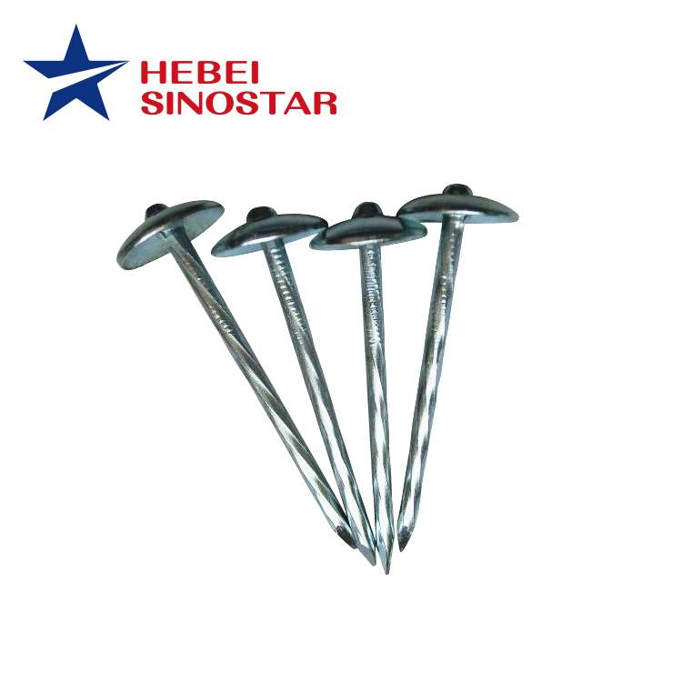 Umbrella Head Roofing Nails