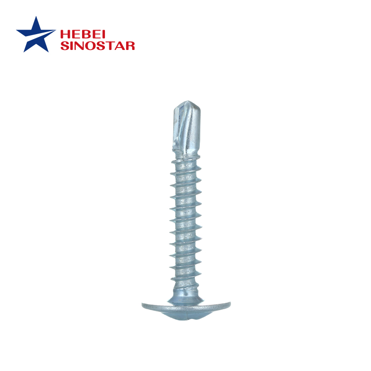 Stainless Steel Truss Screw