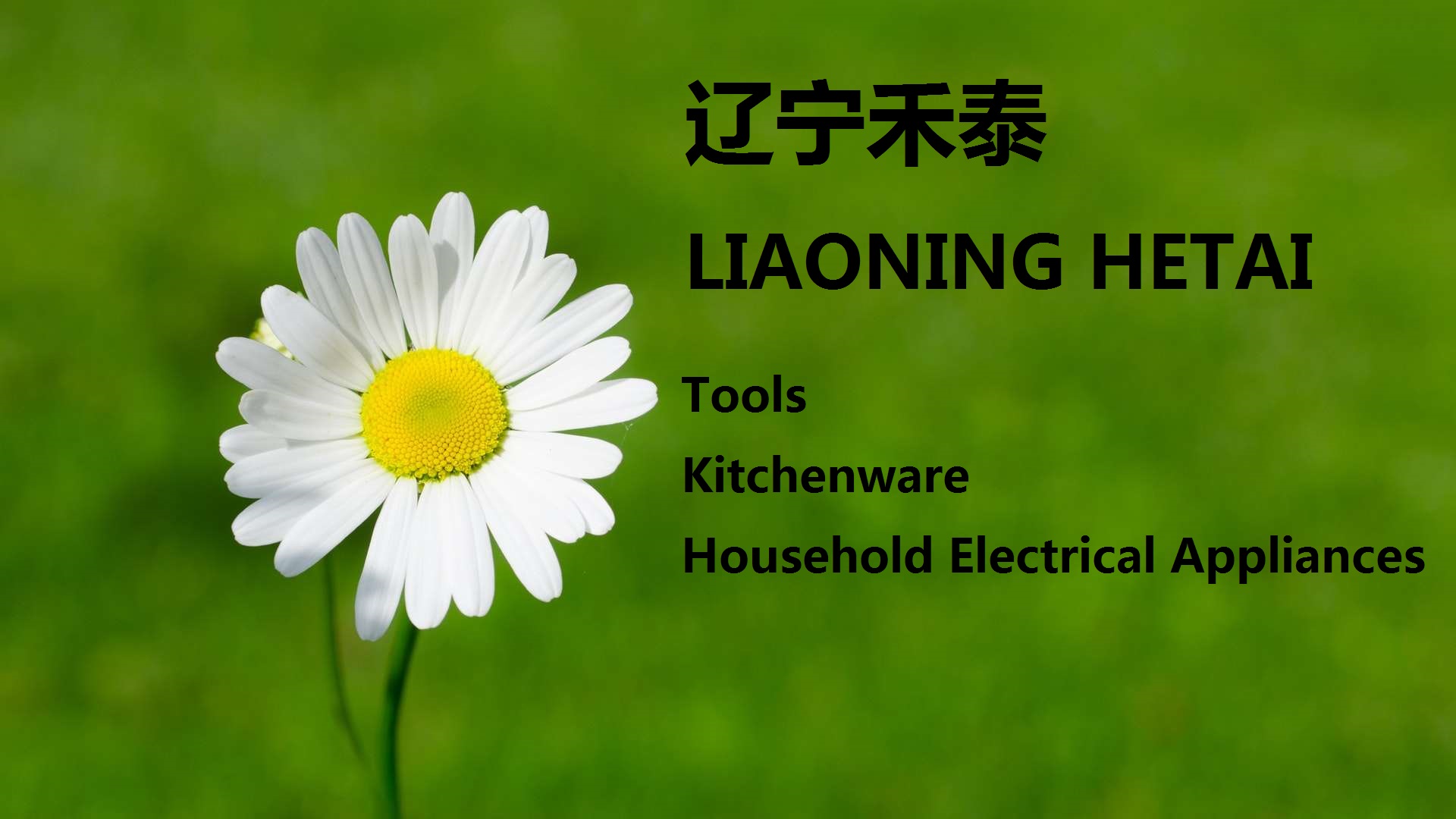 Liaoning Hetai Environmental Service Co., Ltd.