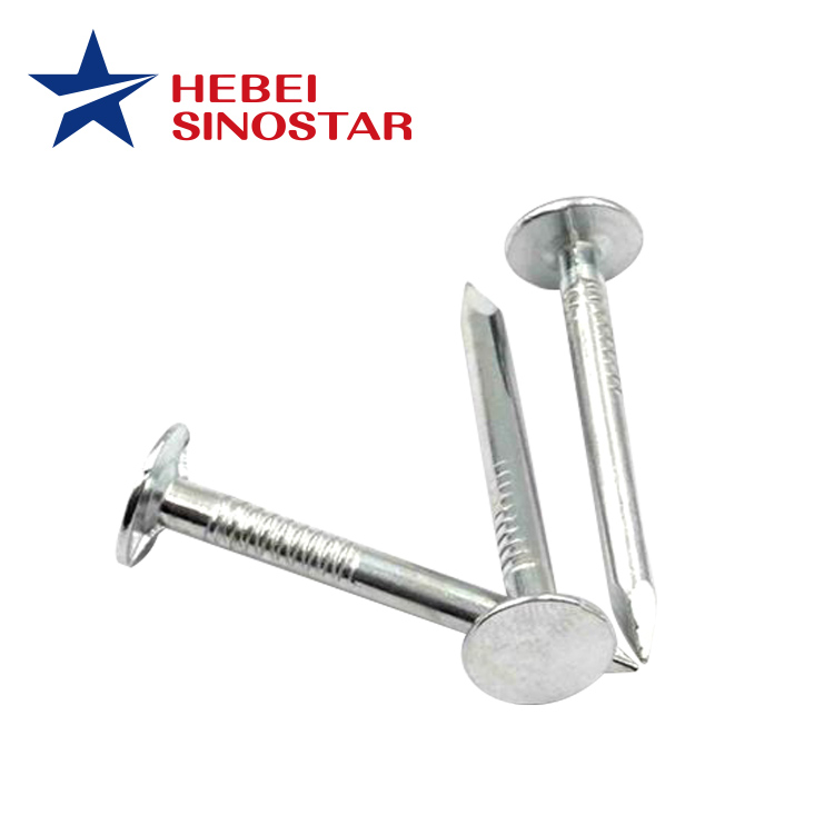 Flat Head Nail