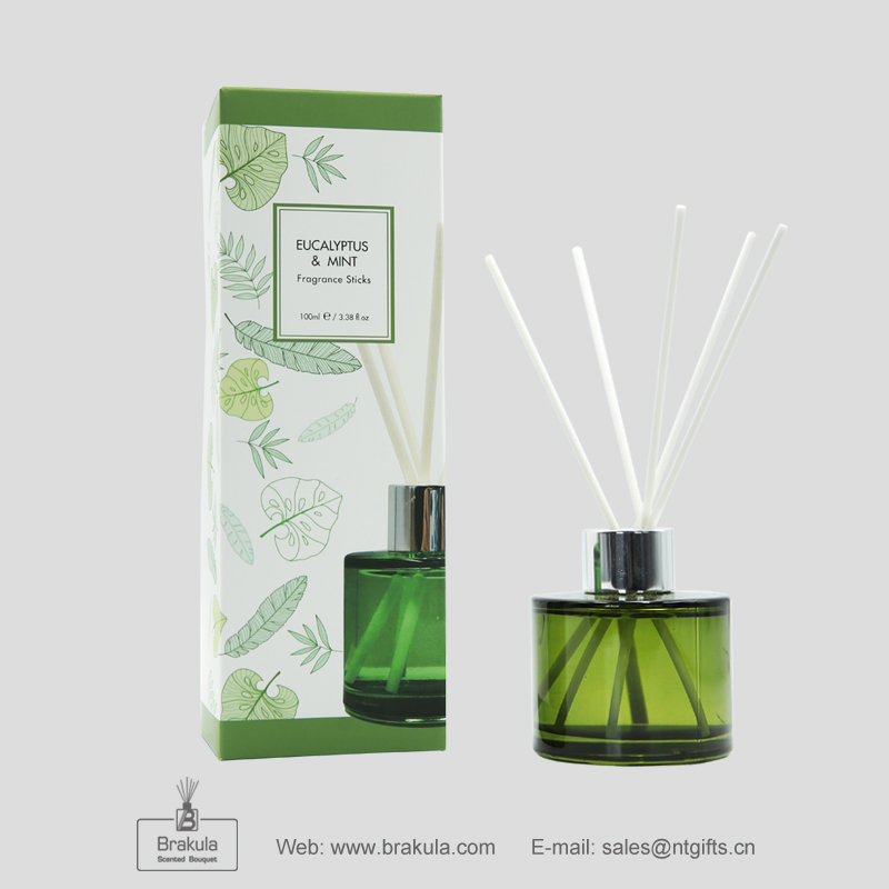 100ml diffuser-Eucalyptus & Mint home fragrance reed diffuser scented diffuser