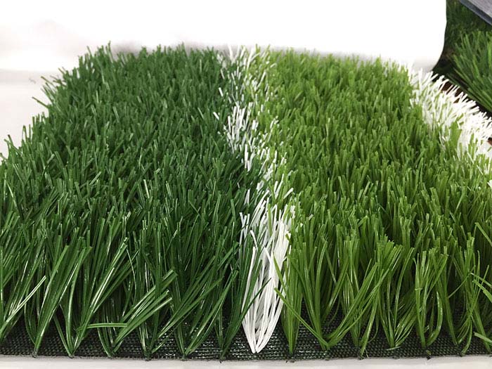 Jiangsu Hongmao Sports Co., Ltd – portarretrato 3