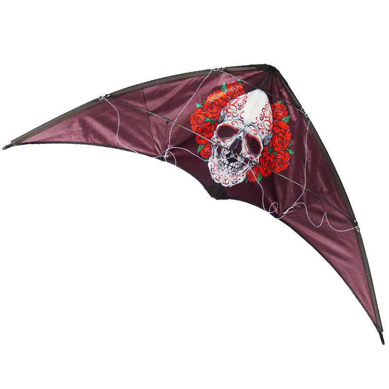 Dual Line Stunt Kite