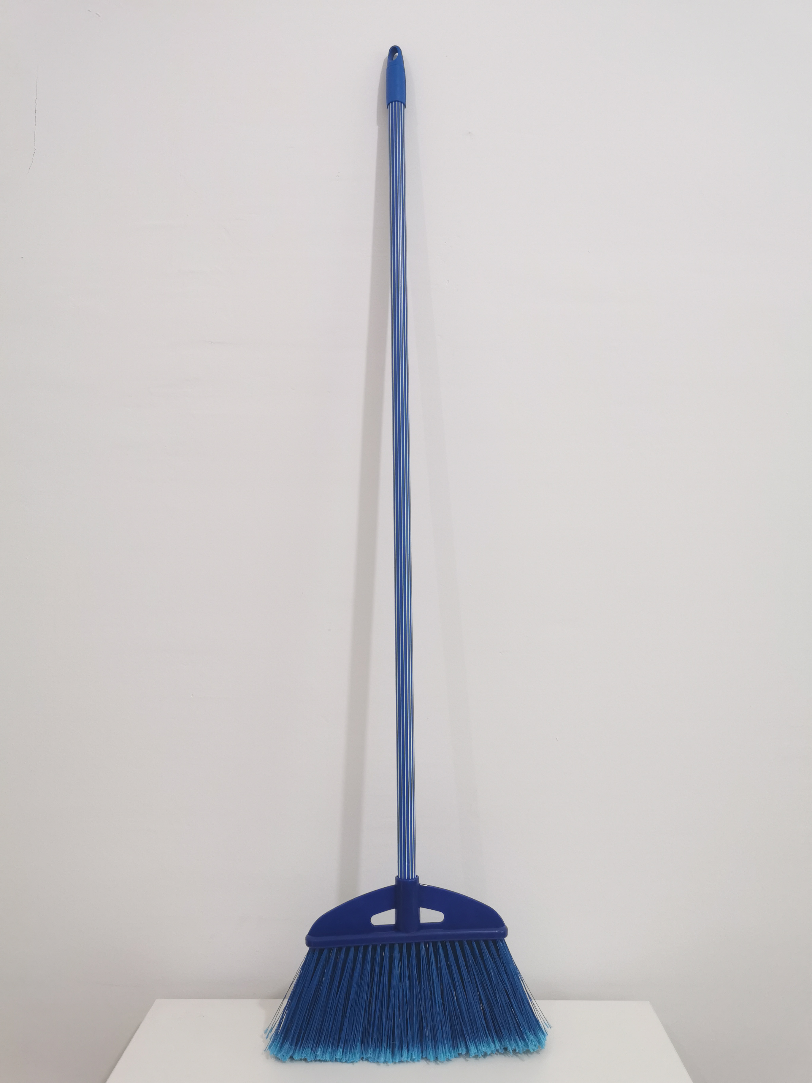 Garden broom/ forked plastic broom/Europe style plastic broom