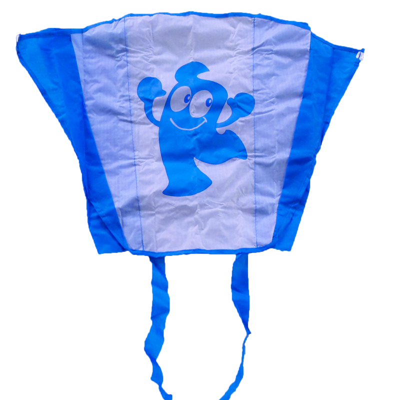 Pocket kite