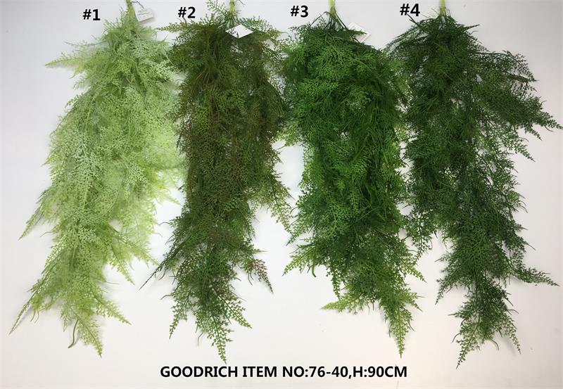 hanging plants