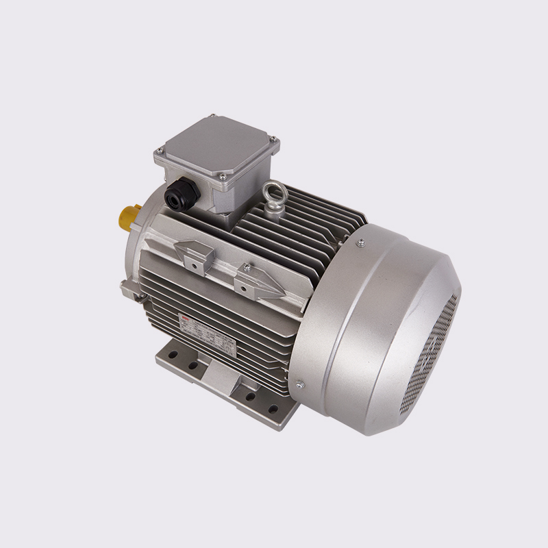 B3 8POLE-Russian standard AИP three phase asynchronous motor