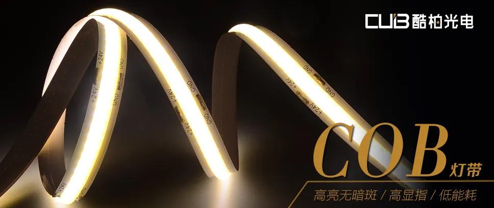 Guangdong Cooper Optoelectronics Incorporated Co.,Ltd – tubo fluorescente 2