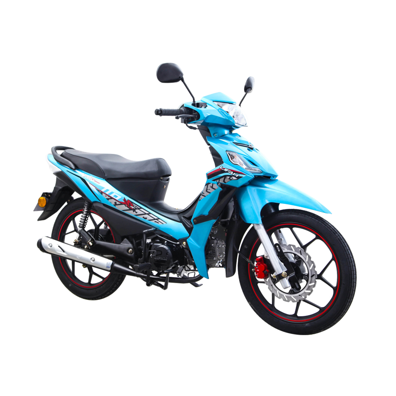 PKS110 (LIFAN Cub Motorcycle)