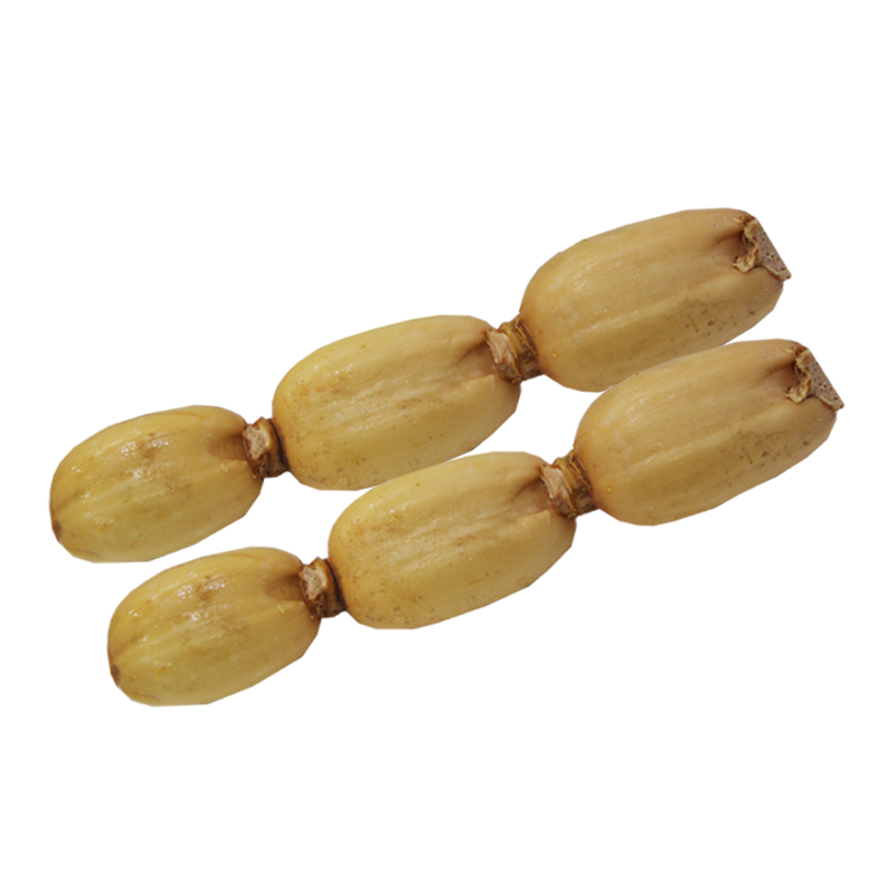SHENZHEN MAOXIONG CO.,LTD – Fresh coconut 4