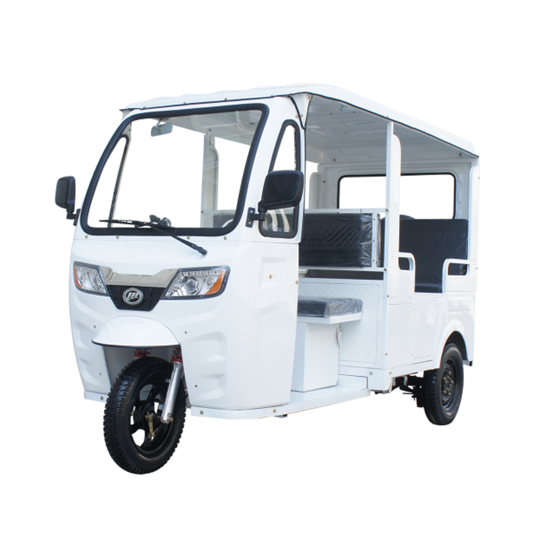 LF320ZK-SP (LIFAN Passenger Three-wheeler Fuel Version)