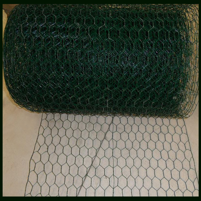 Green PVC Coated Chicken Wire 5/8"X1X50M