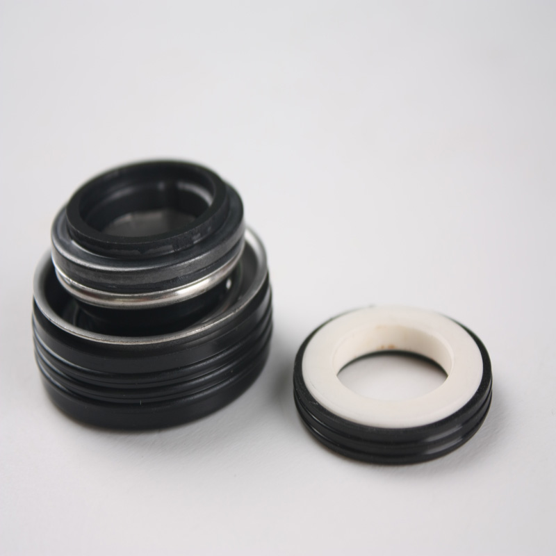Mechanical Seal