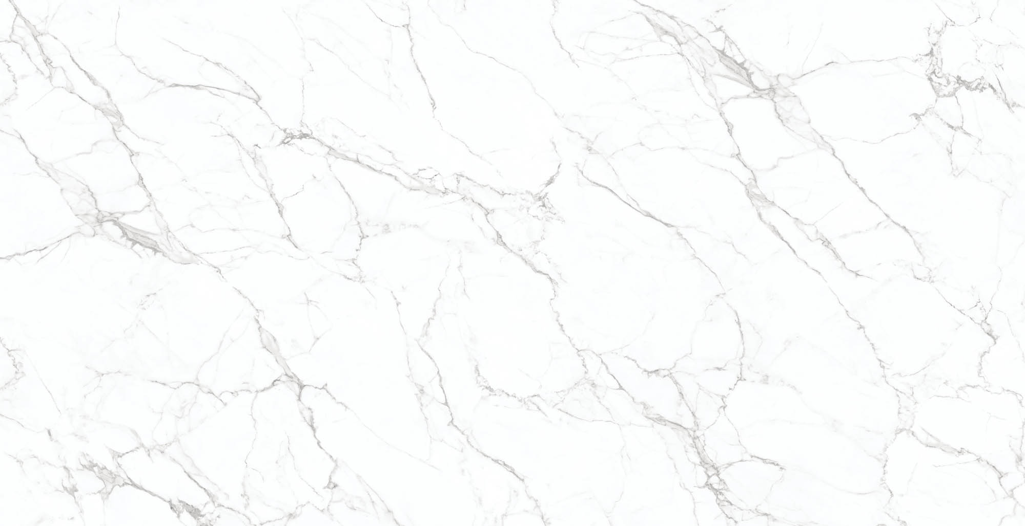 # Porcelain Slab/Porcelain Tile/Floor Tile/Wall Tile/Marble Tile/Glazed Tile 160-320DBL12321M