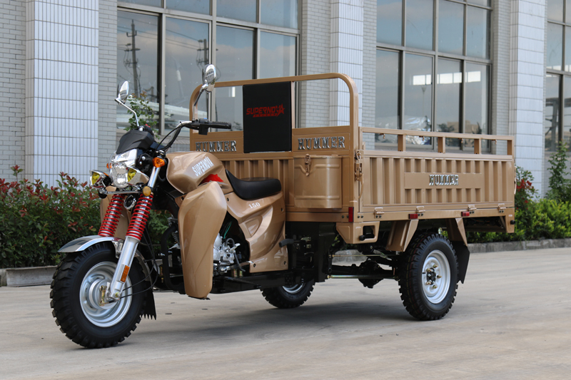 Jiangsu True Power Technology Co.,Ltd – Chopper bike 3