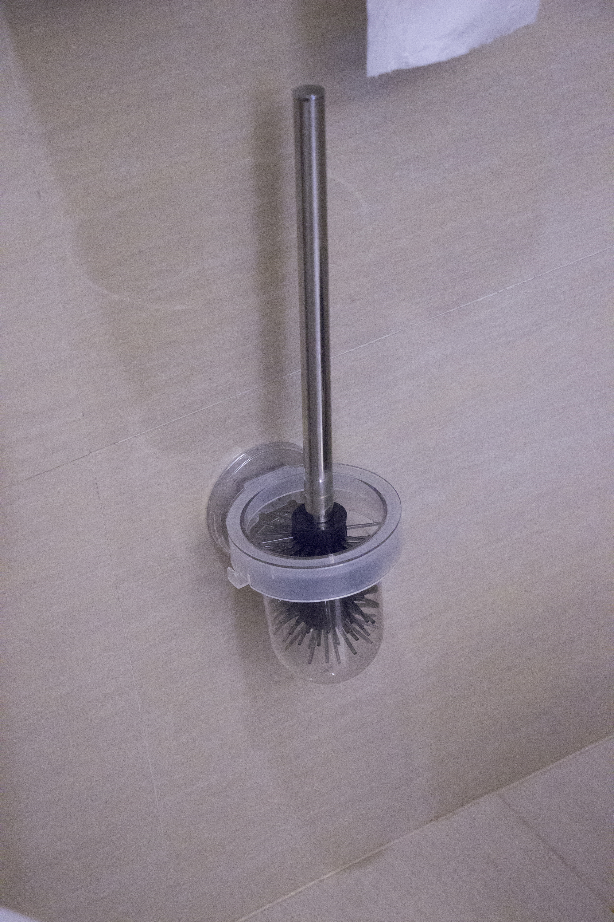 Toilet brush