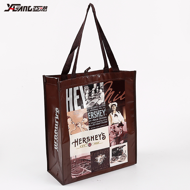 Wholesale Custom Promotional Reusable PP Non Woven laminated Shopping Bags