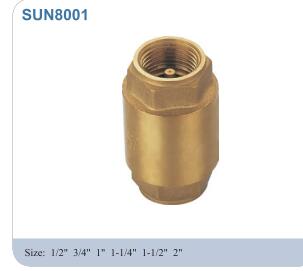Brass Check Valve