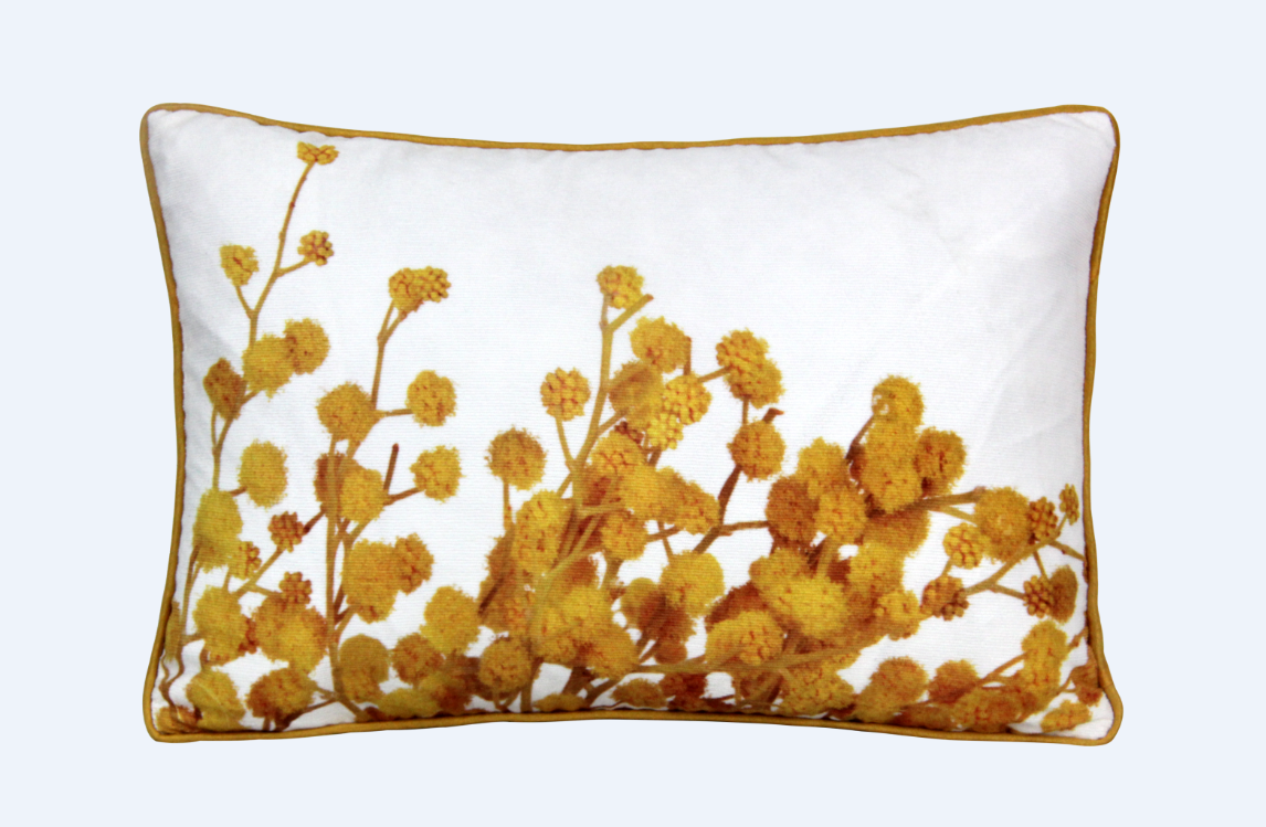 Cushion