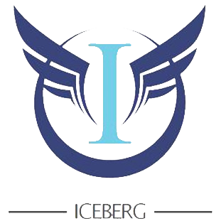 ningbo iceberg electronic appliance co.,ltd