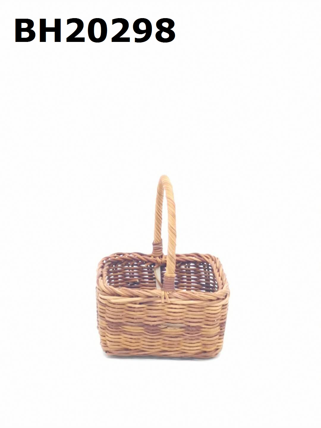 Fern Basket