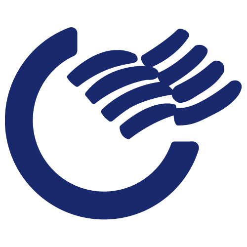 CHINA ZHONGYAN CHANGXING INTERNATIONAL CO. LTD.