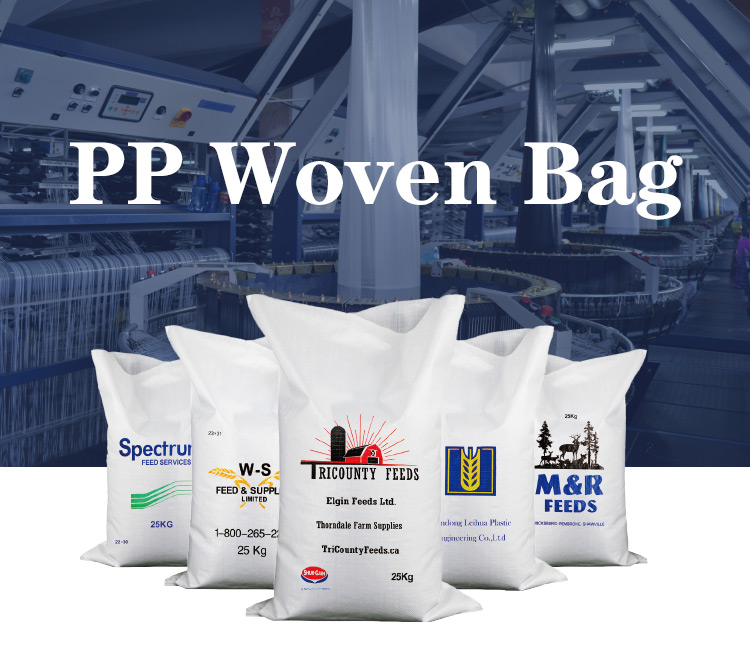 Food grade laminated plastic flour packaging bag 5kg 10kg plastic bag for food