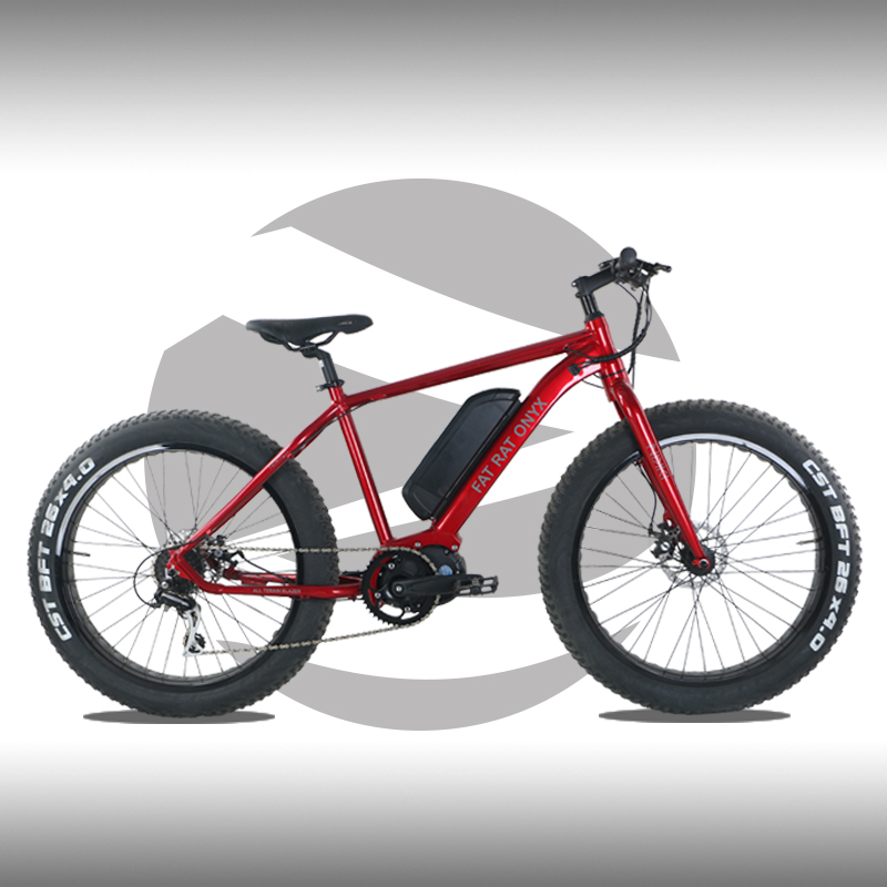 Ebike