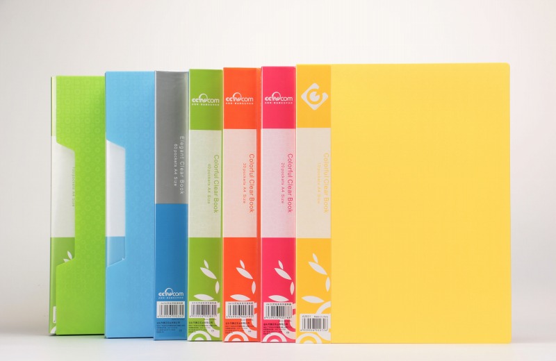 A4 clear book