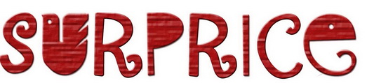 XIAMEN SURPRICE PLASTIC PRODUCTS CO.,LTD