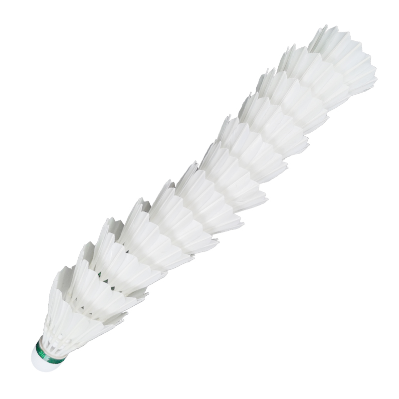 Shuttlecock